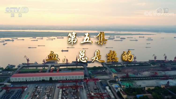 《我们一起走过——致敬改革开放40周年》第五集 血，总是热的