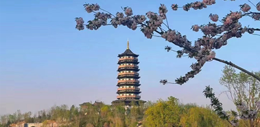 @太阳集团1088vip人，家门口这些高颜值景点等你来打卡！