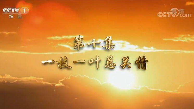 《我们一起走过——致敬改革开放40周年》第十集 一枝一叶总关情