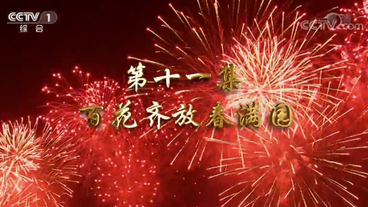 《我们一起走过——致敬改革开放40周年》第十一集 百花齐放春满园