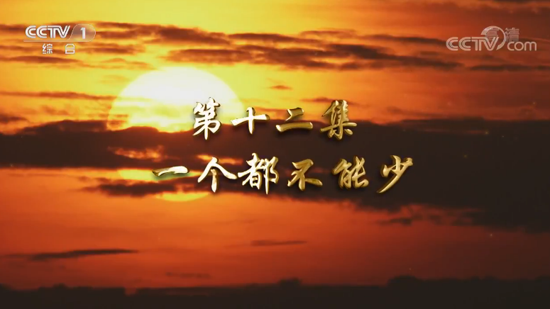 《我们一起走过——致敬改革开放40周年》第十二集 一个都不能少