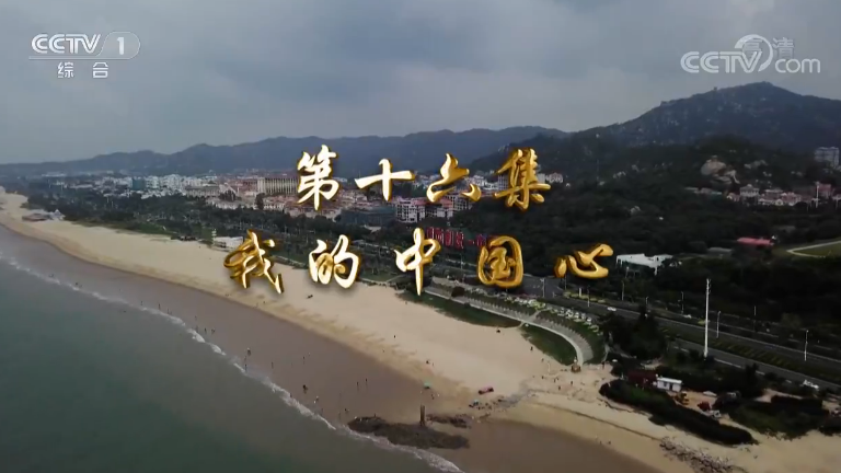《我们一起走过——致敬改革开放40周年》 第十六集 我的中国心