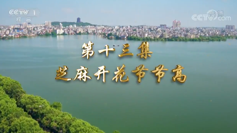 《我们一起走过——致敬改革开放40周年》 第十三集 芝麻开花节节高