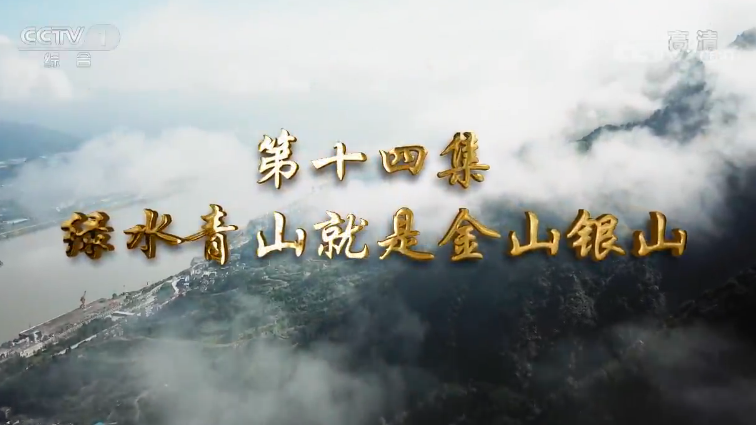 《我们一起走过——致敬改革开放40周年》 第十四集 绿水青山就是金山银山