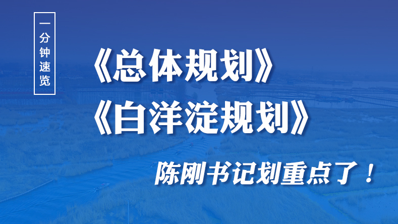 一分钟速览！《总体规划》《白洋淀规划》陈刚书记划重点了！