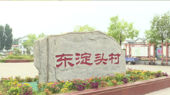 【视频】安新县东淀头自行清除淀区水产养殖12处