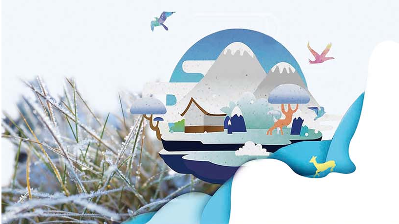 霜降至，你关心的这些事一定要知道！